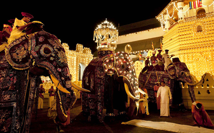 11 nights 12 days Tour4 of muthulankatours
