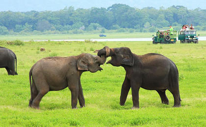 9 nights 10 days Tour3 of muthulankatours