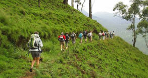 Group Inclusive Tours