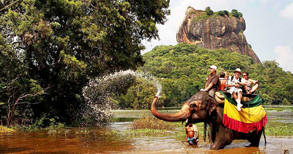 Special Interest Tours 